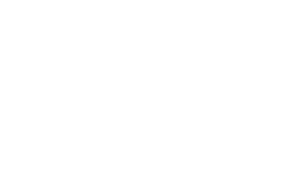 Logo Desarrollo Instintivo